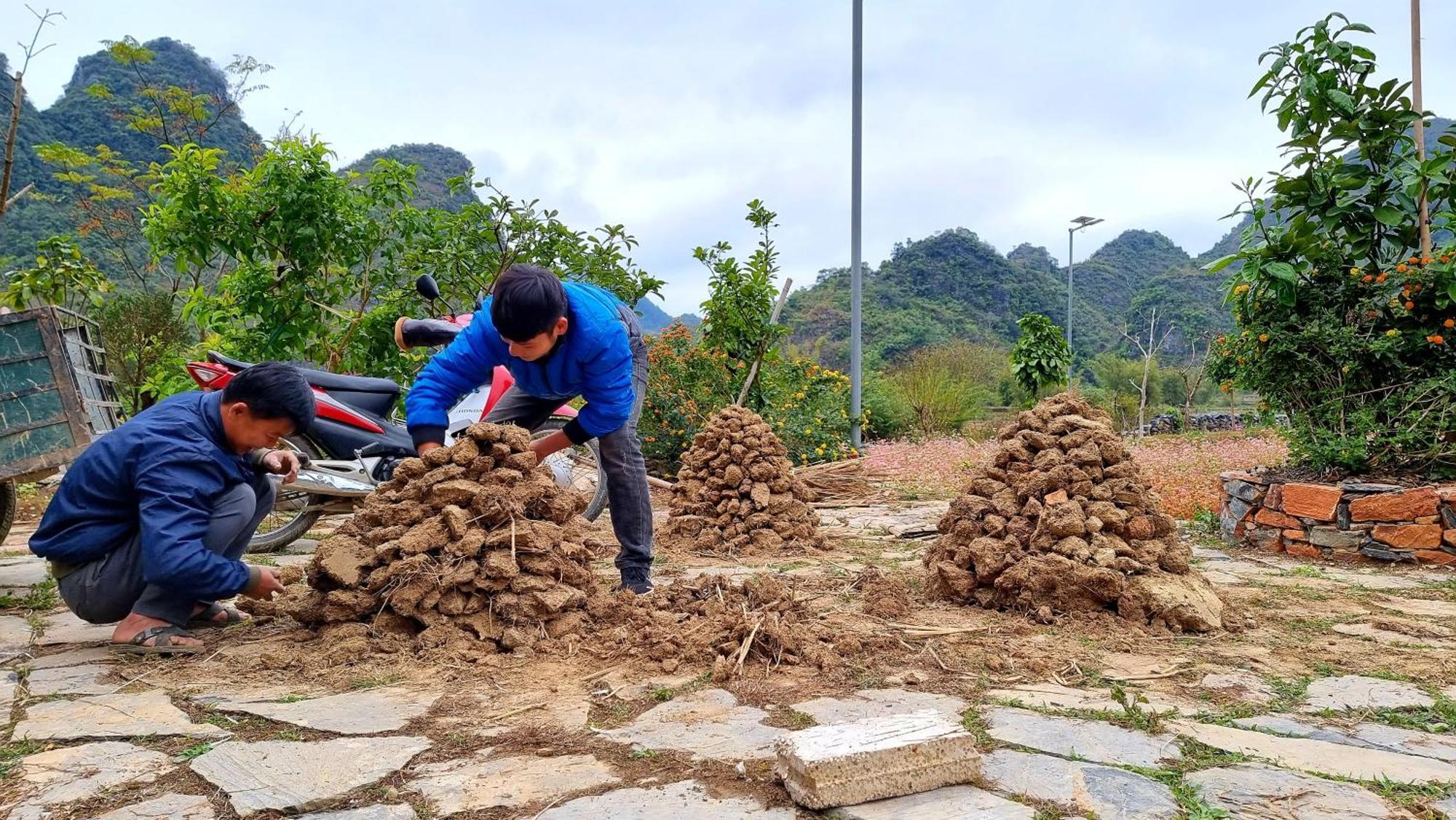 Nasan Farm Cao Bang